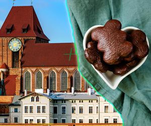 Symbol Torunia doceniony na świecie