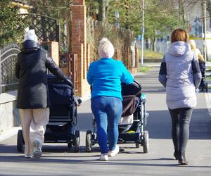 Pogoda oszaleje! W Sylwestra poczujemy wiosnę. 1 stycznia jeszcze cieplejszy!