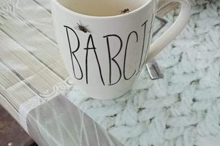 Inwazja much w Czechach na Pomorzu Zachodnim