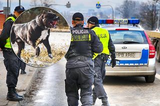 Strzały w bloku w Krakowie! 24-letni Ukrainiec i jego pies zaatakowali policjantów