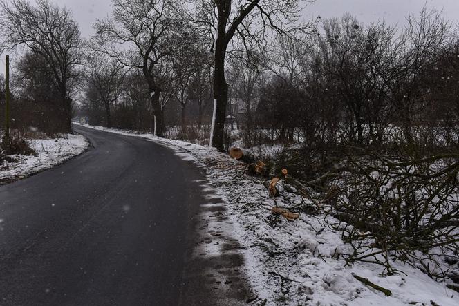 Śmiertelny wypadek Trzebczu Szlacheckim. Nie żyje 37-letni kierowca, który nie miał prawa jazdy