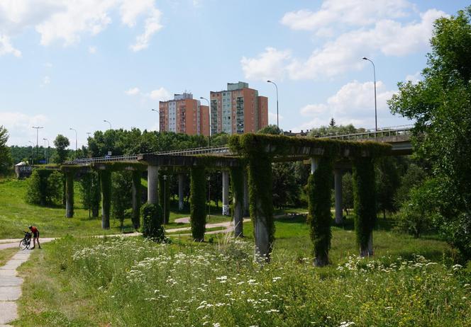 Lublin. „Filary porośnięte bluszczem” i nie tylko. Park Jana Pawła II w lipcowej odsłonie