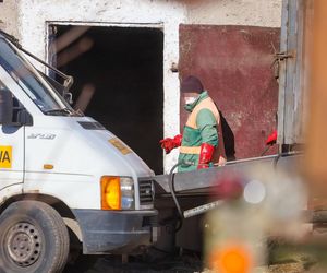 Horror koło Ostródy. Zwierzęta konały bez światła, wody i jedzenia