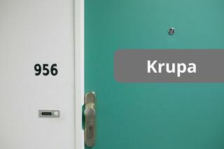 Najpopularniejsze nazwiska na Podkarpaciu