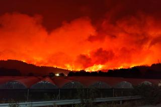 Potężne pożary szaleją w Grecji. Tysiące osób uciekało przed żywiołem [ZDJĘCIA, WIDEO]