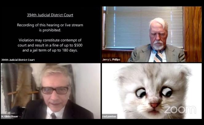  Nie jestem kotem. Sędzia zamienił się w kota