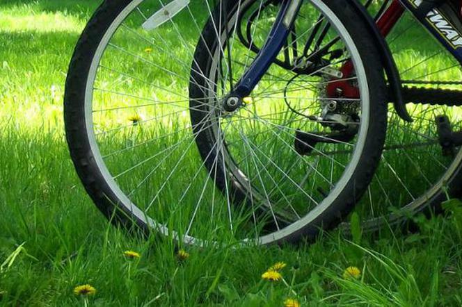Nowe ścieżki rowerowe dla cyklistów powstaną w Szczecinie i regionie