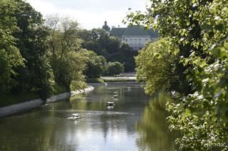 22 nowe tratwy dla ptaków wodnych na terenach administrowanych przez Zarząd Zieleni m.st. Warszawy! 