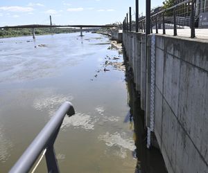 Alarm! Wisła wysycha na naszych oczach. Katastrofalny poziom wody w Warszawie