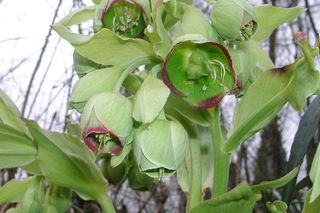 Nazywa się nieciekawie, ale za to jakie ma zalety!