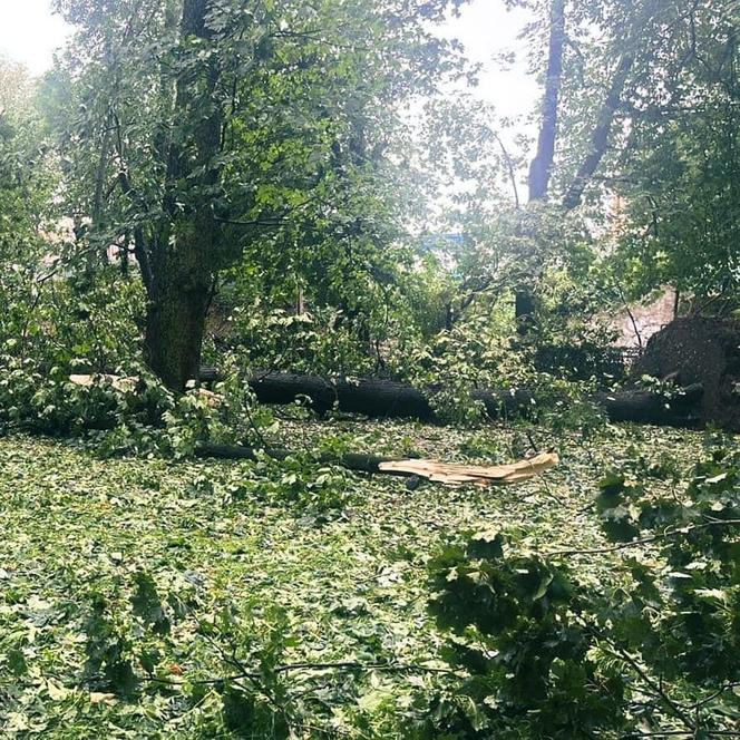 Armagedon w Kielcach i Świętokrzyskiem! Nawałnica wyrządziła dużo szkód