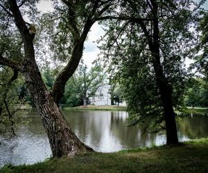 Zespół pałacowo-parkowy w Radziejowicach