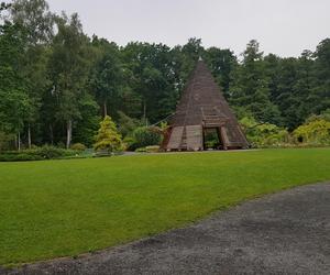 Uniwersytecki Ogród Botaniczny w letniej odsłonie