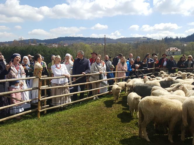 Rozpoczęcie sezonu pasterskiego w Rychwałdzie