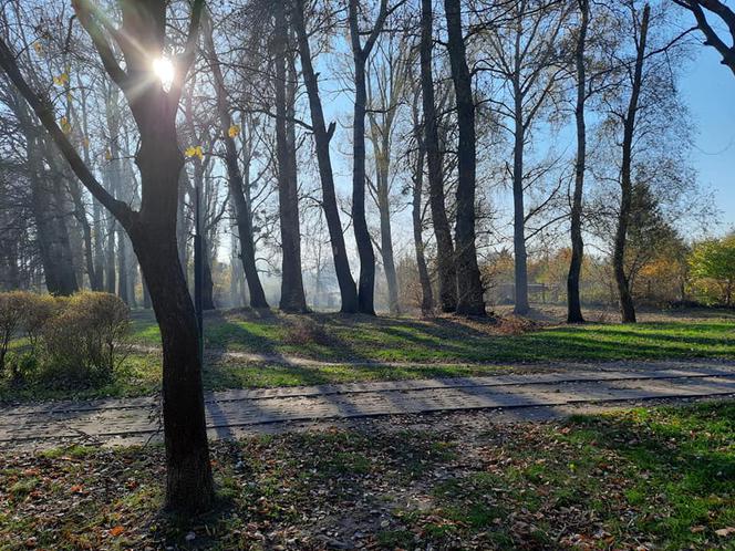 Park Miejski w Toruniu