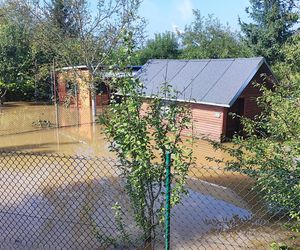 Stabłowice. Tak ratowali gołębie z działek