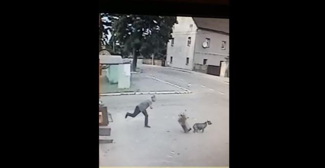 Pies RZUCIŁ SIĘ na młodą kobietę