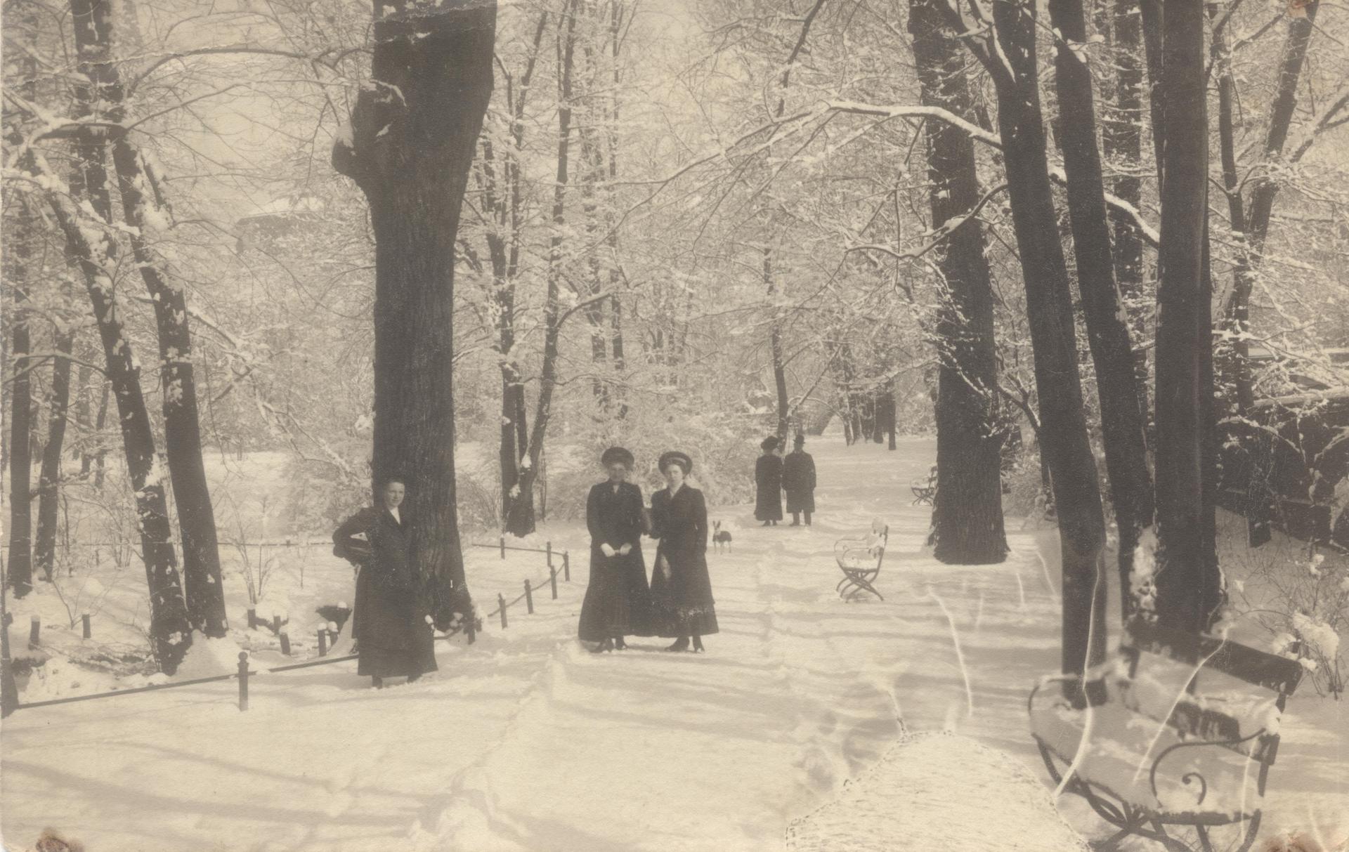 Bydgoszczy na dawnych pocztówkach