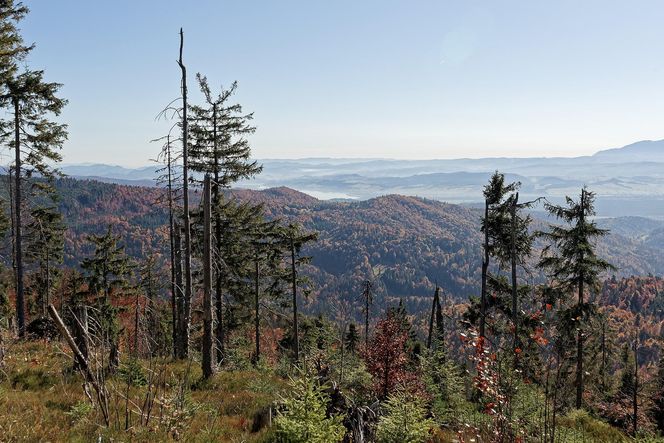 To miejsce w Małopolsce najpiękniej wygląda późną jesienią według AI. Ma status kultowego