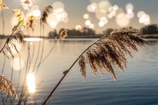 Festiwal Sztuki Nad Rzeką dalej odsłania karty. Znamy kolejnych artystów