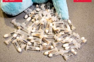 Mrówki ukryte w zabawkach