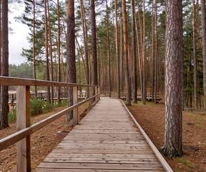 To najładniejsza trasa widokowa w woj. lubelskim. AI uzasadnia swój wybór 