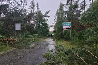 Burza w Borowcach