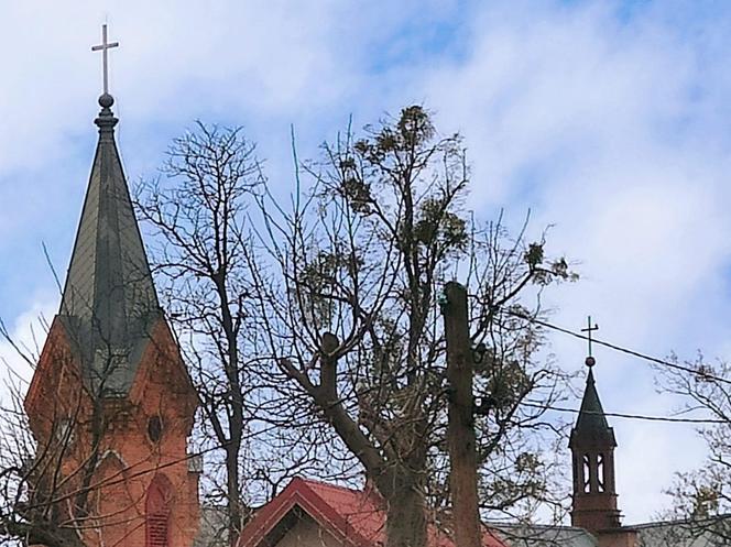 Zabytkowy kościół w Aleksandrowie Kujawskim