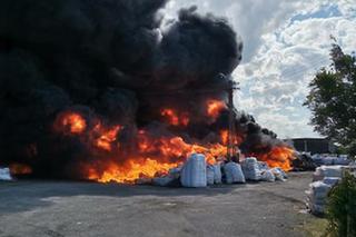 Potężny pożar na składowisku śmieci w okolicach Złotnik Kujawskich