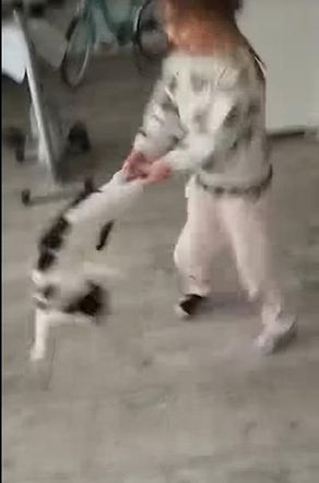 Dziewczynka rzucała kotem, matka nagrywała! Interweniowała policja