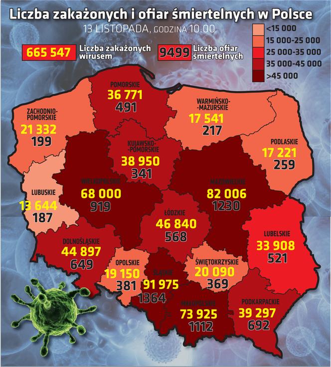 wirus Polska województwa 13 11 2020