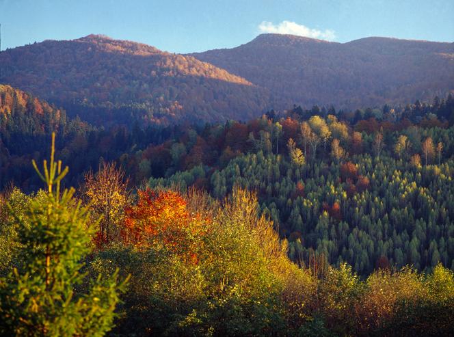 Bieszczady – miejsca, w których można się zatracić