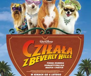 Cziłała z Beverly Hills