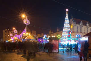 Choinka na wrocławskim rynku