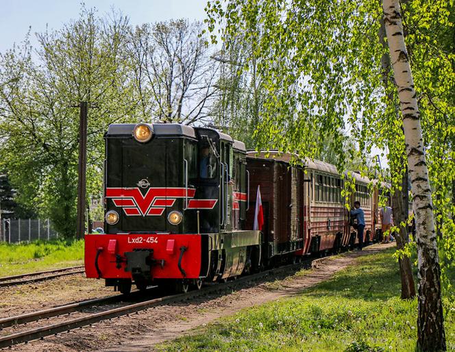 Warszawska podróż w czasie. Kultowe „Parówki”, Ikarusy i Jelcze wracają na trasy