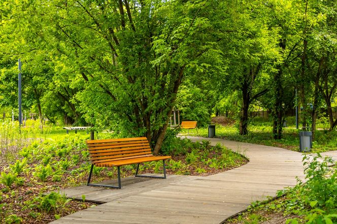 Park linearny przy ul. Suwak w Warszawie