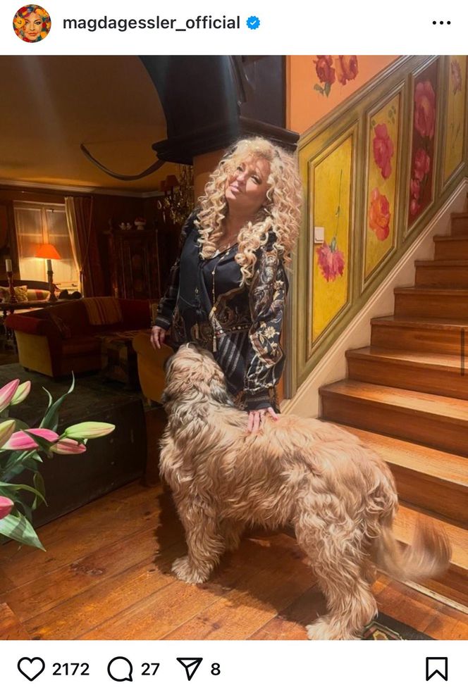 Te psy skradły serca gwiazd! Niektóre wyglądają jak z bajk