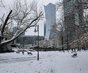 Śnieżny armagedon w Warszawie. Pierwszy atak zimy sparaliżował stolicę. Ogłoszono akcję ALFA