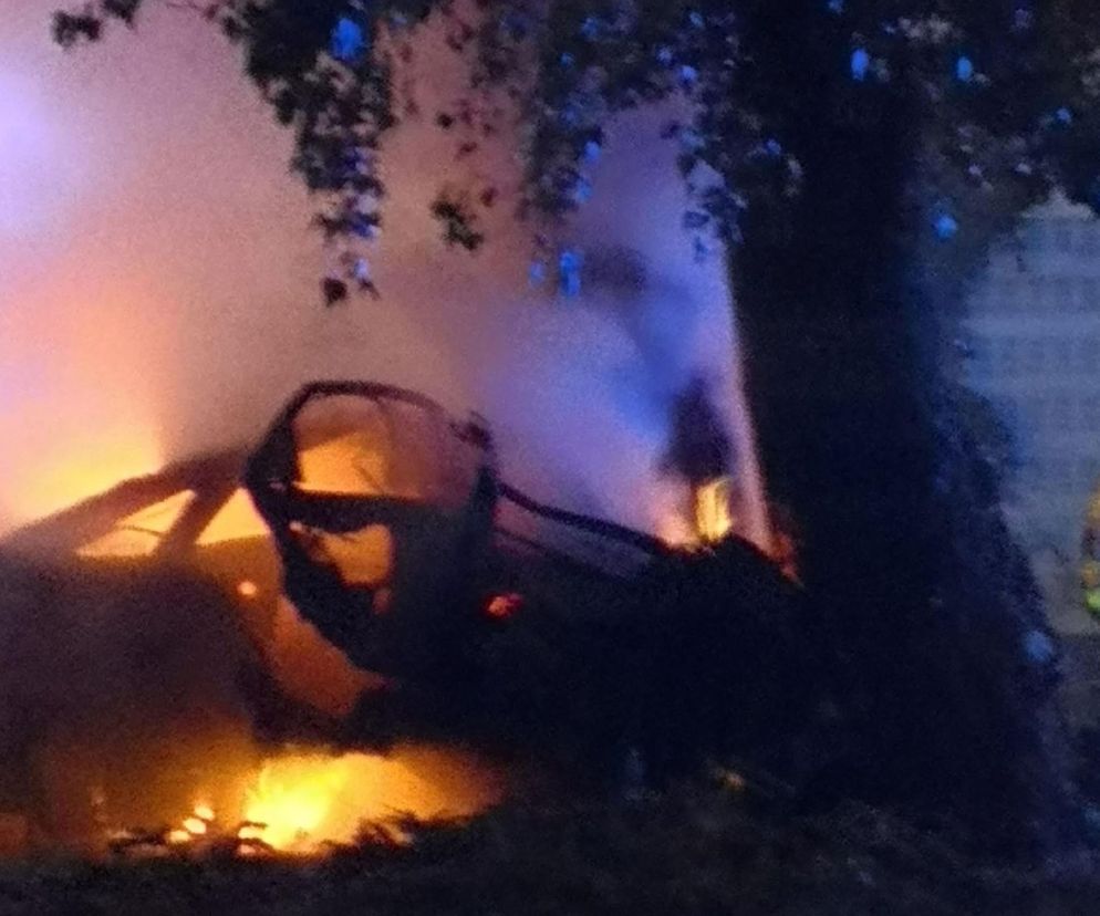 Potworny wypadek w Płocku. Wypadli z drogi, uderzyli w drzewo. Dwoje ludzi spłonęło w samochodzie	