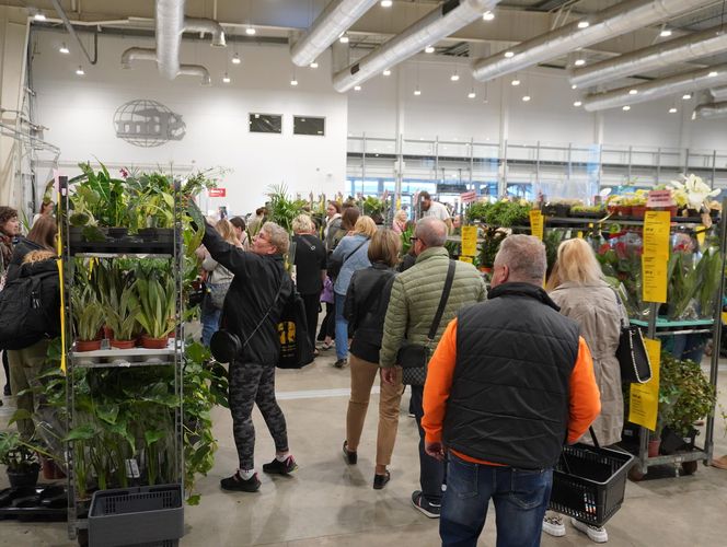 Największy targ roślin doniczkowych ponownie w Lublinie