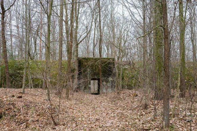  AI wskazała najgorsze miasto Opolszczyzny. Dramat i marazm, z którego nie ma wyjścia