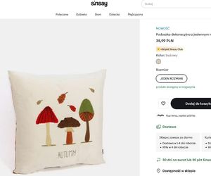 Jesień w Sinsay 2025