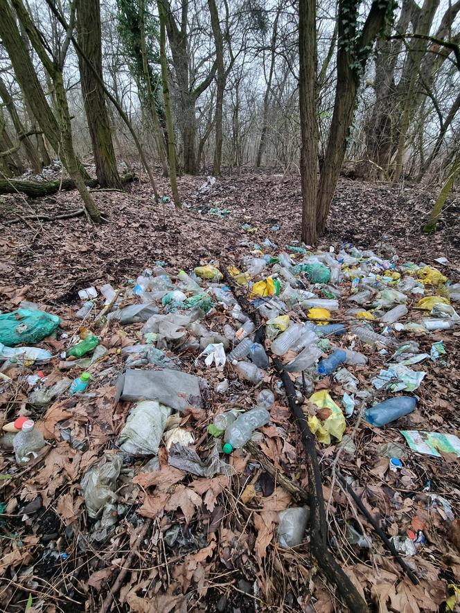 Kolejne dzikie wysypisko śmieci we Wrocławiu. I to tuż przy rzece! Zawiadomiono prokuraturę 