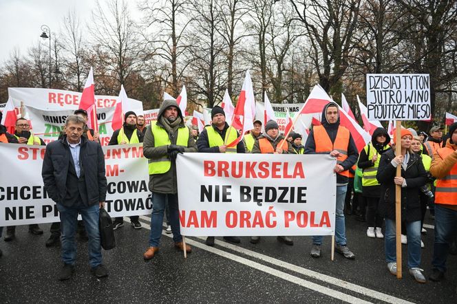 Protest plantatorów tytoniu w Warszawie (3.11.2025)