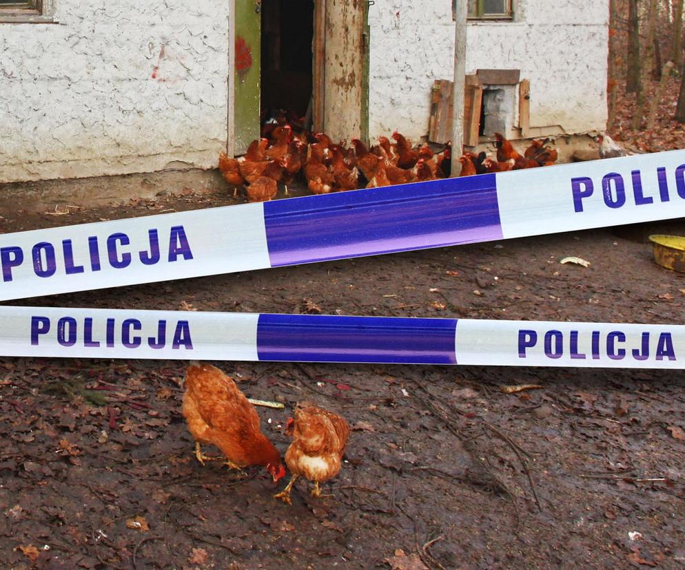 Makabryczne odkrycie w Bukowcu. 34-latek leżał martwy w kurniku