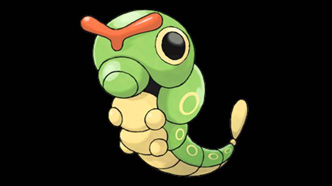 Caterpie