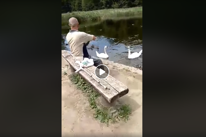 Nieznany mężczyzna łapie kaczki