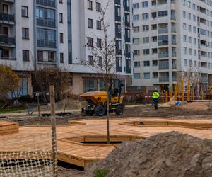 Pierwsze drzewa w parku nad obwodnicą na Ursynowie