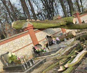 Zniszczone nagrobki na cmentarzu przy Bazylice Piekarskiej. Co tam się stało? 