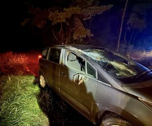 Drzewo runęło na jadący samochód! O krok od tragedii na DK 10 pod Bydgoszczą